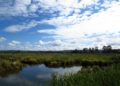Challenge Call for Innovative Solutions for the Protection, Preservation and Revitalization of Wetland Habitats