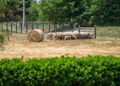 Švajcarska podržava razvoj održivog seoskog turizma u Srbiji