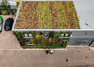 Zeleni kasetni krov – povratak prirode u gradsko jezgro