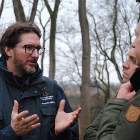 Restoring biodiversity in Obedska Bara with water buffaloes