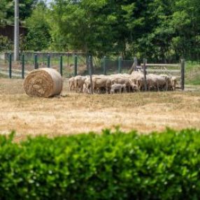 Switzerland supports the development of sustainable rural tourism in Serbia