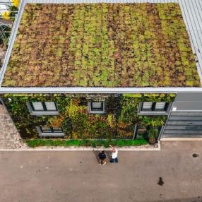 Zeleni kasetni krov – povratak prirode u gradsko jezgro